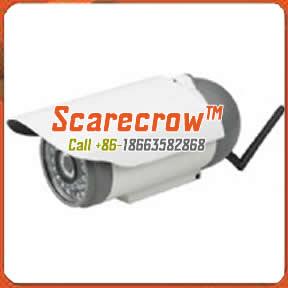 Wireless microwave camera Waterproof infrared night vision wireless ip camera Scarecrow™