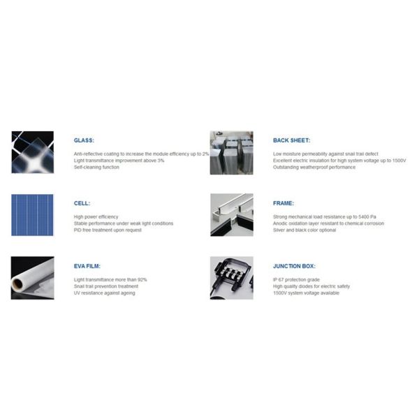 320W Poly Solar Panel Power for Green Energy