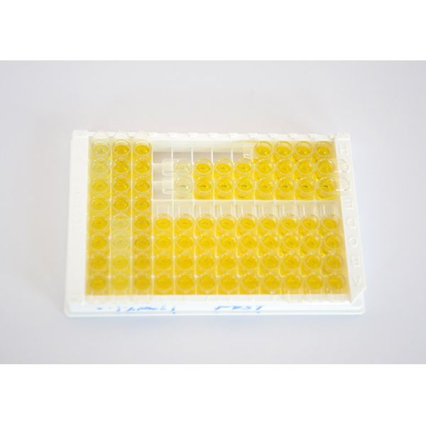Food Safety Detection Ofloxacin ELISA Test Kit With High Recovery Rate