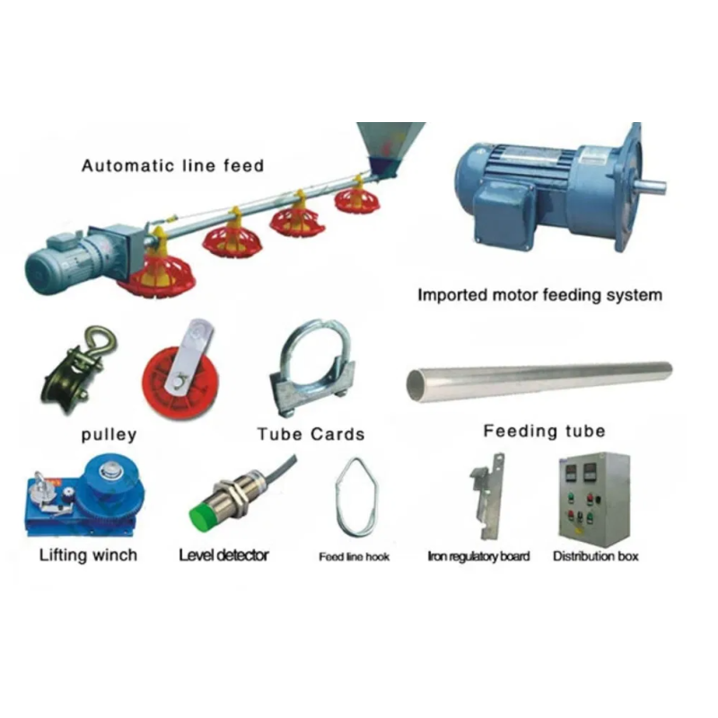 Fully Automatic Poultry Feeding System with Corrosion Resistant High Efficiency Chicken House Feeding Equipment