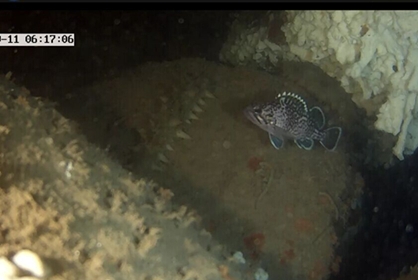 360° Rotary HD Underwater Camera(KS360-1080)Stainless Steel,High Definition,50-80M Cable