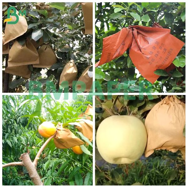 Waterproof Paper For Pear Growing Fruit Bag Brown & Red Color