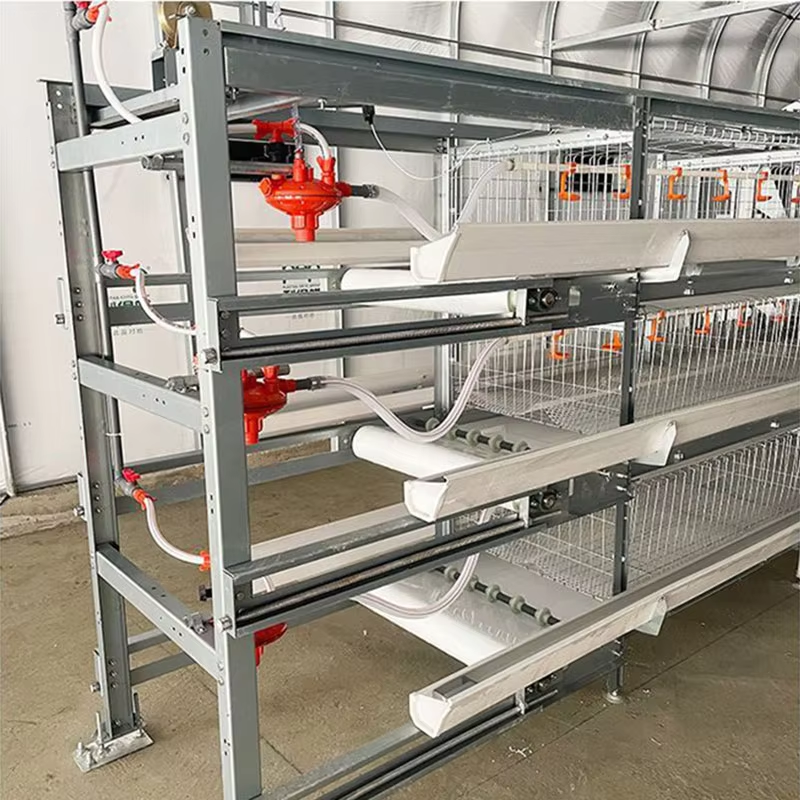 Automatic H Type Battery Layer Chicken Cage System with Fully Automatic Operation, Hot-Dip Galvanized Steel, and H-Type Layered Design for Poultry