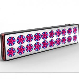 China Best Selling Products 300*3W Full Spectrum 1000 watt led grow lights on sale