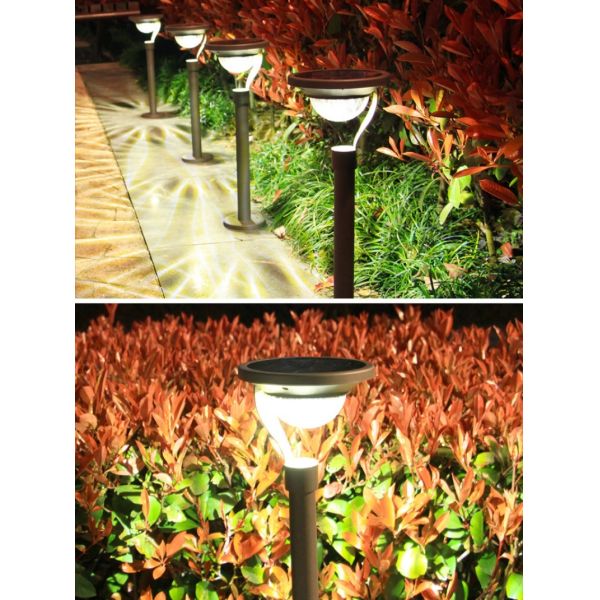 LED Solar Garden Light With Easy Installation Weather Resistant for Flower Borders