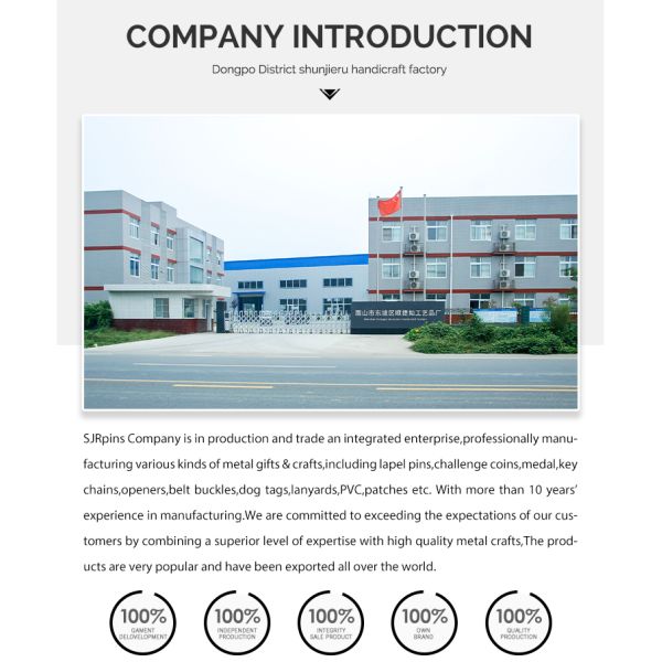 Custom Brass Commemorative Coin with Soft Enamel Craft and 2 Inch Size for Business Gifts