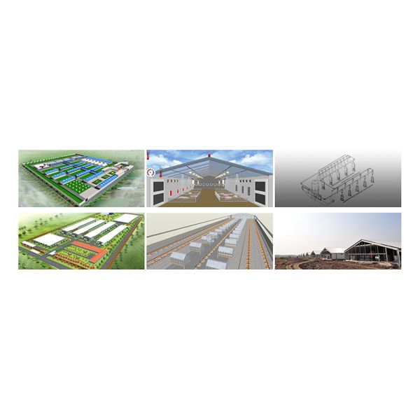 poultry farm Poultry farm Henhouse turnkey solution