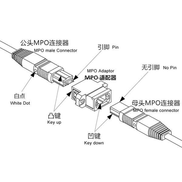 Single Mode MPO MTP Cable MPO Male to MPO Female 8/12 Fiber Patch Cord with LSZH Material