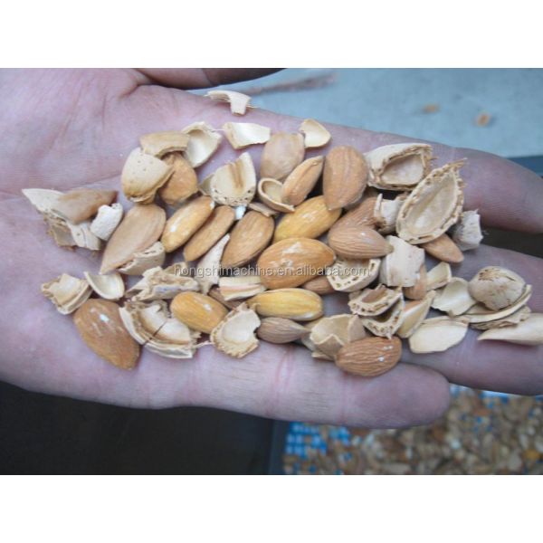 400kg/h Almond hazelnut shelling production line Almond peeling machine Almond cracker separating machine