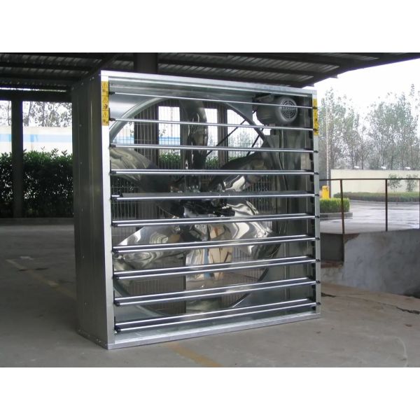 Broiler Poultry Farm Equipment with Automatic Feeding System, Environment Control, and Cooling Pad for Chicken House