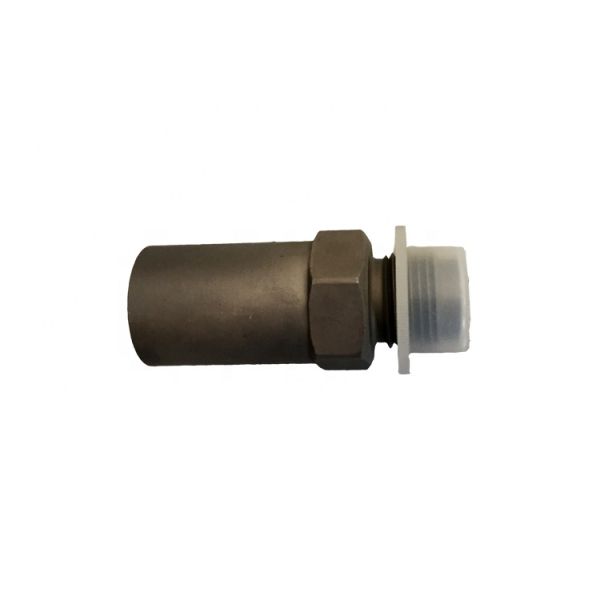 1110010035 Common Rail Pressure Limit Valve For Bosch Injection Parts