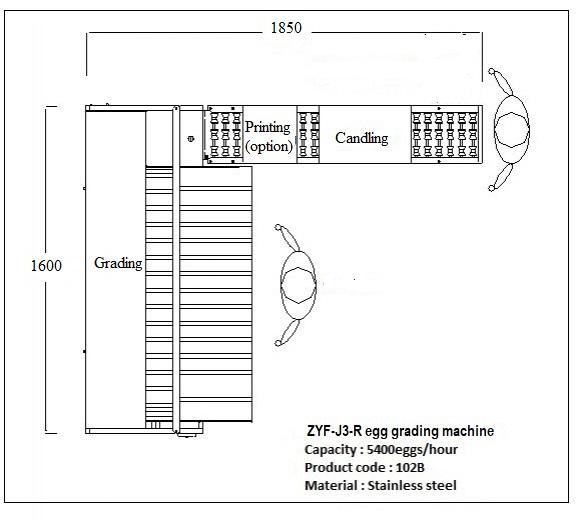 Stainless Steel Material 5 Grade Egg Sorter Grading and Candling Machine