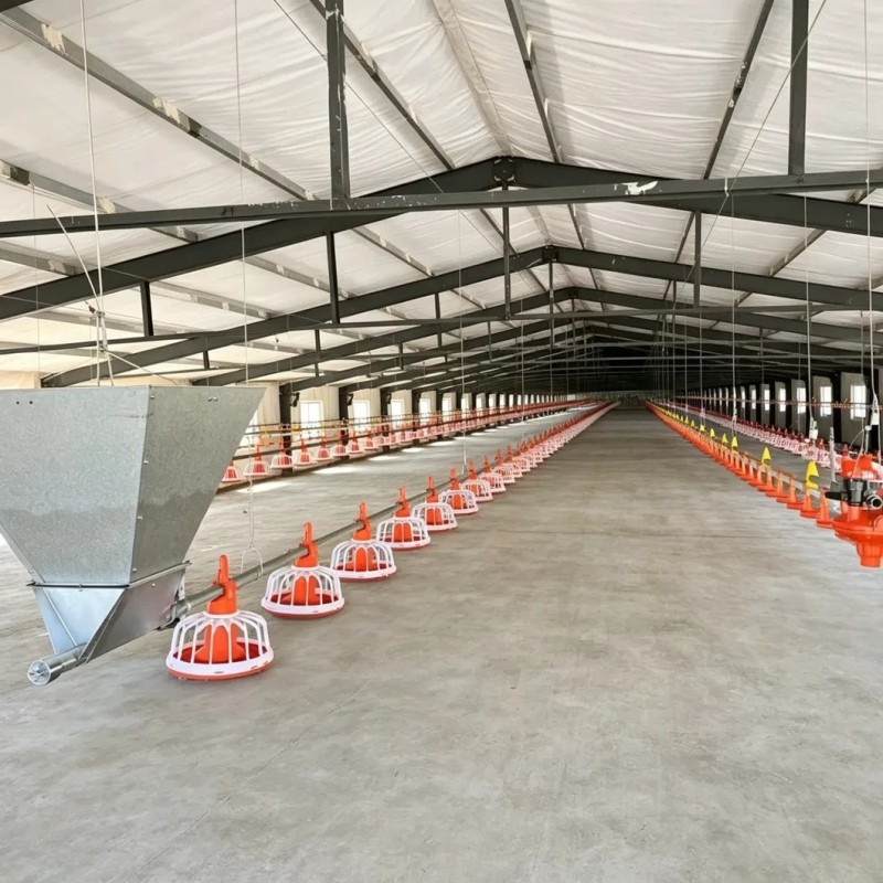 Automatic Poultry Raising System with Galvanized Light Steel Frames and Hot-dip Galvanized Steel for Chicken Broiler Farm Equipment