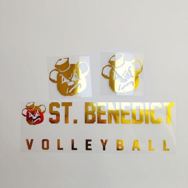 Custom DTF Heat Transfer Stickers with High-Resolution Printing, Machine Washable and High Stretch for T-Shirts