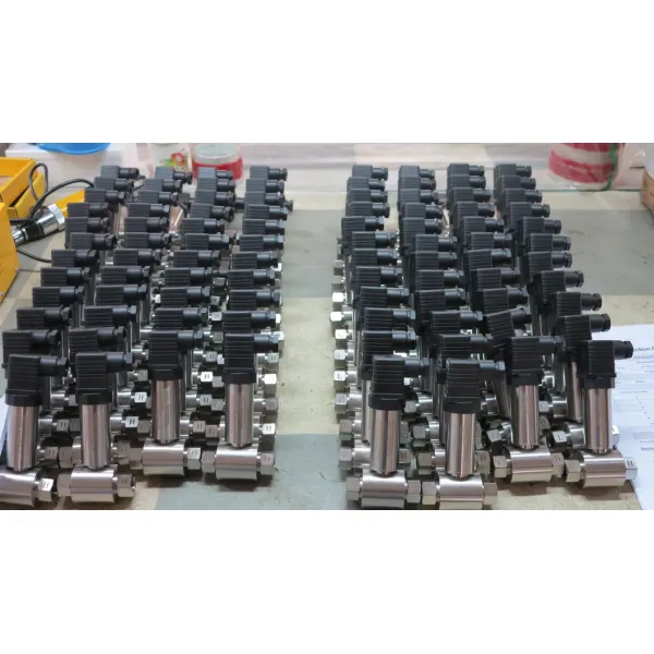Thread Connection 4-20mA Differential Pressure Transmitter Sensor With Big DIN Transducer