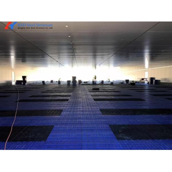 Pig Slatted Flooring Customized Piggery Plastic Flooring For Husbandry Equipment