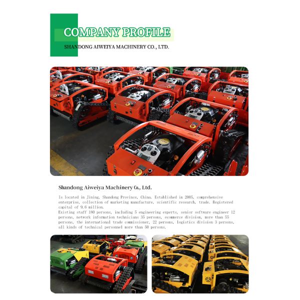 500mm CE EPA Self Propelled Cordless DIY Remote Control Lawn Mower All Terrain Grass Cutting