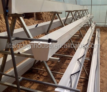 Hydroponic Growing System for Tomatoes in Dutch Bucket Easy Assembly and Efficiency