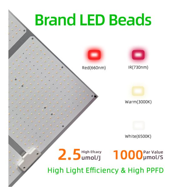 LED Grow Light 4X4 4X6FT Coverage 400W Full Spectrum LED Grow Light Panel For Hydroponic