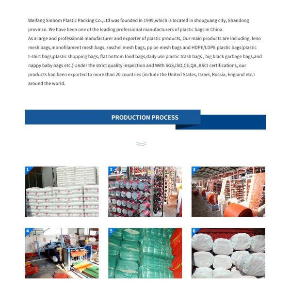 Rashel Fruit Garlic PE Wire Mash Net Bag For Acceptable Customer Logo