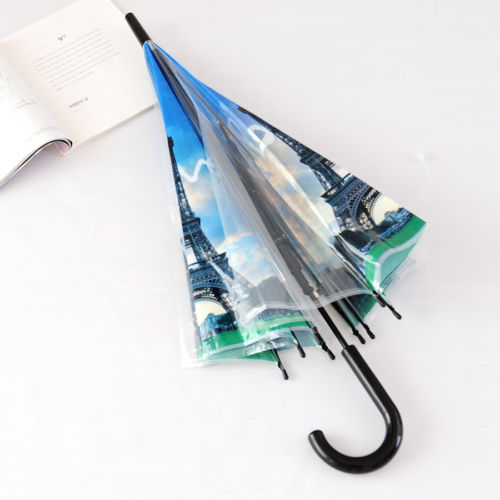 Cute Full Coverage Dome See Through Umbrella , Durable Clear Bubble Umbrella