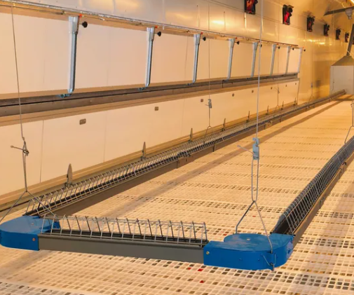 Hot-dip Galvanized Automatic Broiler Chicken Cage System with Adjustable Vents and Corrosion Resistant Design