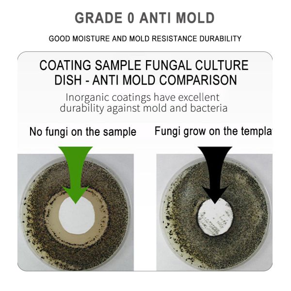 Fireproof Waterproof Eco-friendly Inorganic Coating Water Based Paint for Concrete and Basement