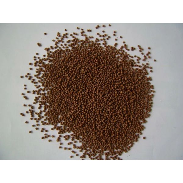 SLG 65-III Twin-screw Extruder Pet Food Extruder/Making Machine