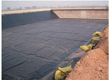 Waterproofing HDPE Membrane 2mm Geomembrane for Landfill Liners PE Material and Strength