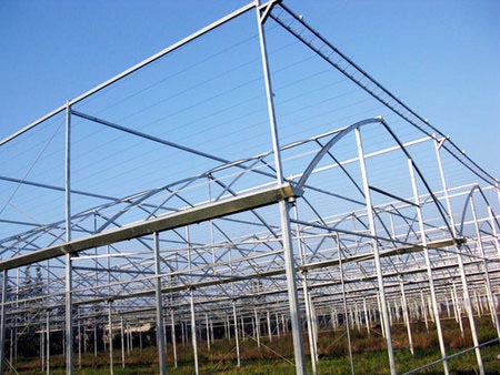 Cucumber Greenhouse Hydroponic Systems Galvanized Frame Thin Film Structure