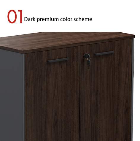 Dark-toned Modern Design Eco-Friendly Filing Cabinet for Office Space Use Easy Assembly Factory wholesale