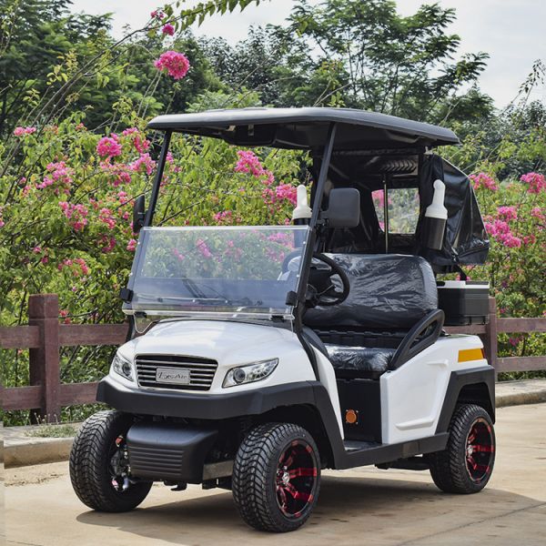 MINI 2 Seats Aluminum Wheel Electric Golf Cart with AC CONTROLLER