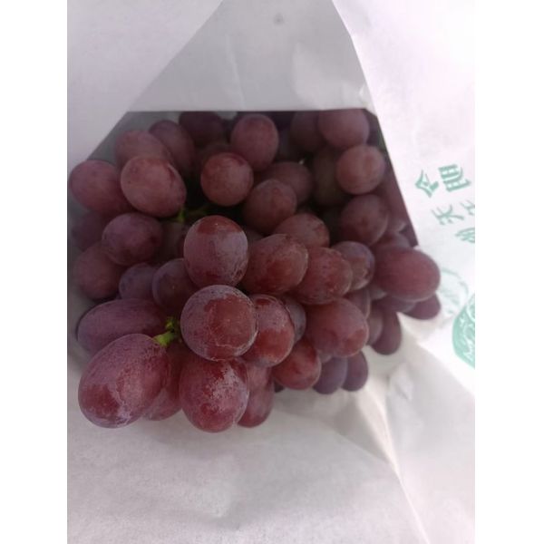 Potassium Fertilizer Enhances Anthocyanin Accumulation Red Coloration Of Apples Fruits