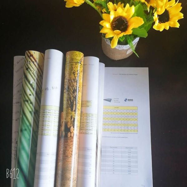 HI-KOTE C2S Art Paper The Perfect Combination of and Customization for Writing