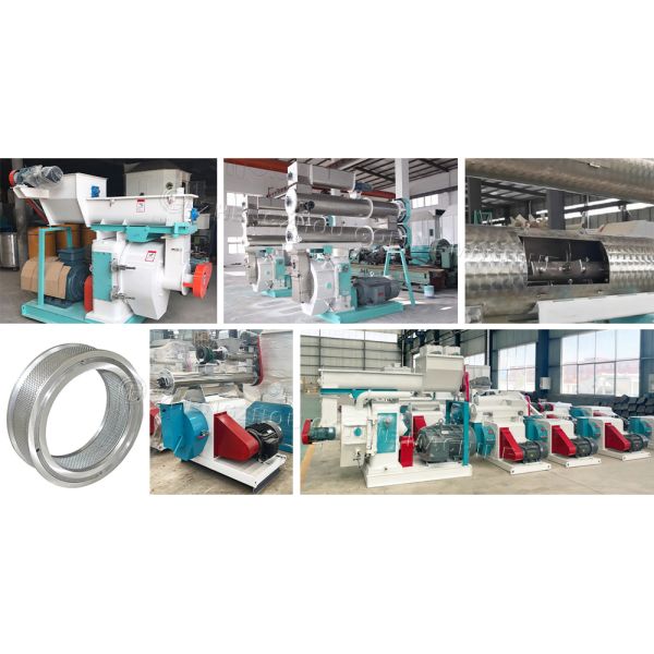 Vertical Ring Die Bio-Fertilizer Machine for High-Density Pellet Production