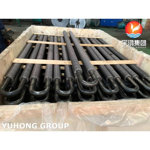 Carbon Steel U Bend Solid Finned Tube, High Frequency Welded Fin With A106 Gr.B Pipe Used In Economizer