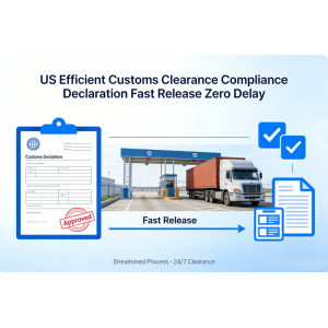US Efficient Customs Clearance Compliance Declaration Fast Release Zero Delay