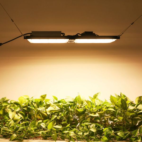 Waterproof IP65 LED Herb Grow Light 240W SAMSUNG Quantum Board For Agricultural