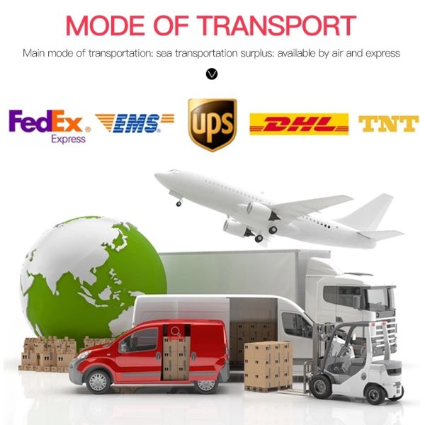 Professional weighing household weight electronic digital body fat scale