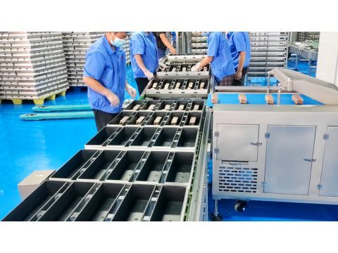 Rye and Whole Wheat Toast Supply for Healthy Bread Distributors