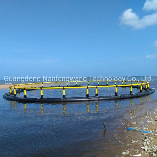 Customization Fishing Trap Aquaculture Net Cage for Crab Lobster Shrimp by Nangfengwang