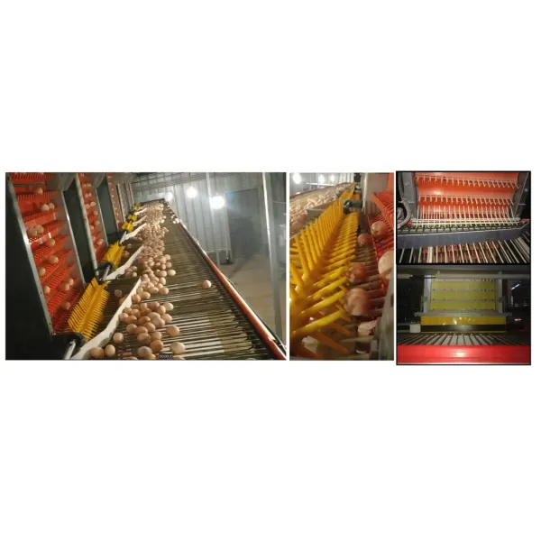 Galvanized Steel H Type Battery Layer Cages with Modular Structure and Automated Feeding for Poultry Farming