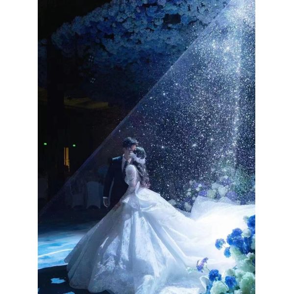 10w Rgb Laser Light Animation Beam Laser Projector Laser Show For Party Disco Wedding Round Circle