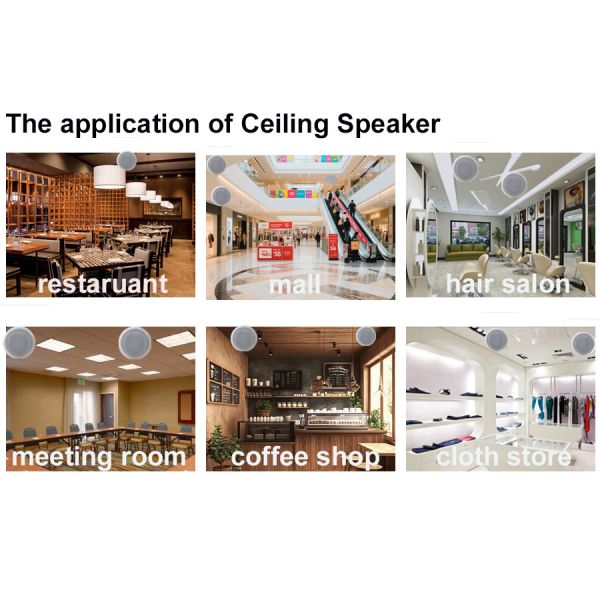 4 Inch Coaxial Speaker ABS Material Active Speaker 2×20W 12V/2A Easy Installation OEM ODM Factory Logo Customization